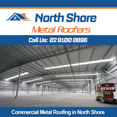 Interior view of commercial metal roofing in North Shore facility